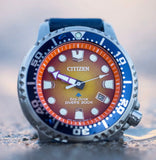 Citizen, Watch, Gents, Promaster Diver, Eco-Drive, BN0162-02X Diver