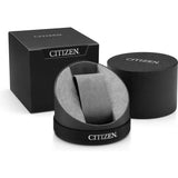 Citizen, Watch, Ladies Strap, FE1087-01L, Eco-Drive, Black Leather, Blue Dial