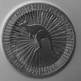 1oz, Silver, Coin, 0.9999, Australian Kangaroo, Elizabeth II, Australia, 2015, 2017, 2018, 1 Dollar, Bullion, DC Jewellers